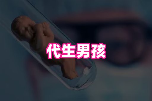 swisee孕网 3